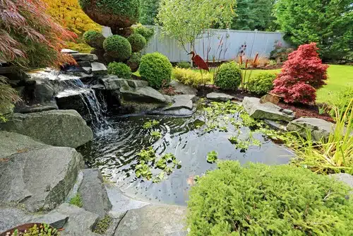Garden Pond