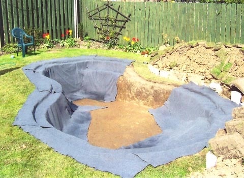 Pond Construction