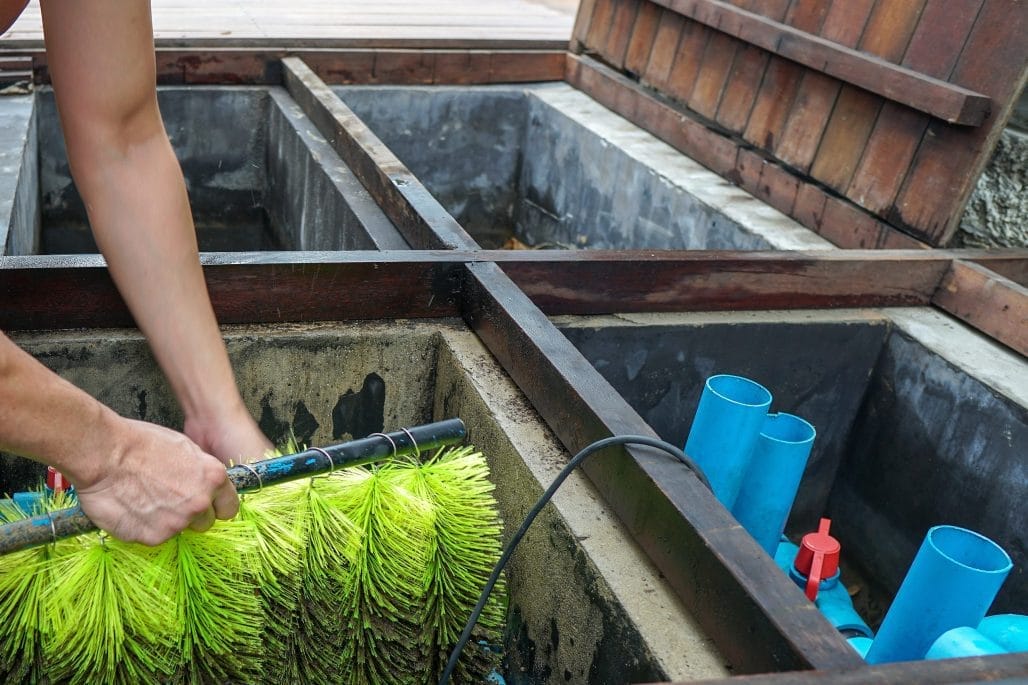 Pond maintenance