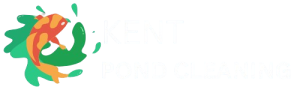 Kent Pond Cleaning