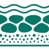 Pond Filtration